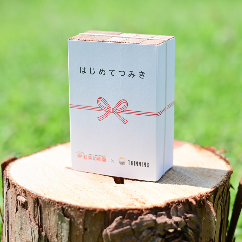 はじめてつみき