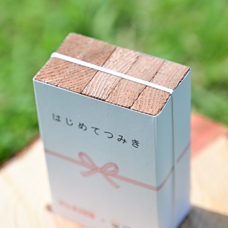 はじめてつみき