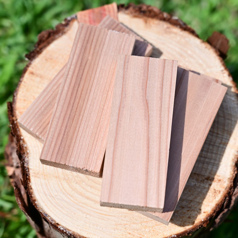 はじめてつみき