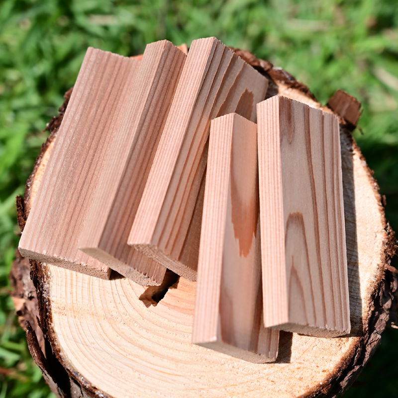 はじめてつみき